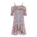 Summer new word collar strap broken flower sweet han edition of even the garment skirt long big dew shoulder chiffon dress